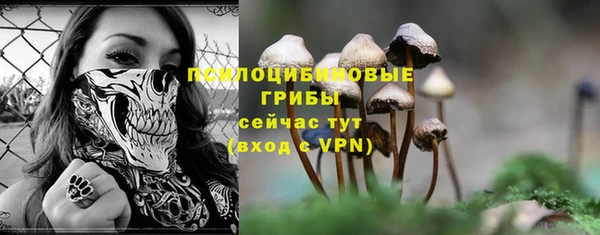 PSILOCYBIN Алзамай