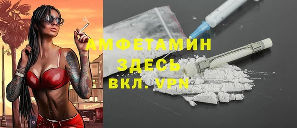гидра Алексин