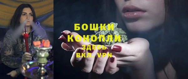 PSILOCYBIN Алзамай