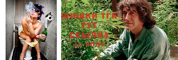 гидра Алексин