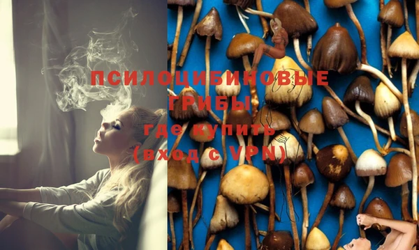 PSILOCYBIN Алзамай