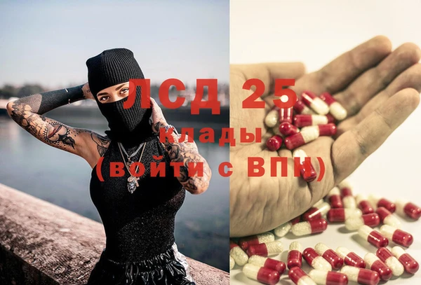 гидра Алексин