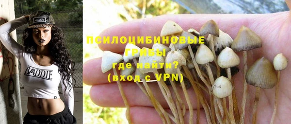 PSILOCYBIN Алзамай